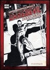 Daredevil_BornAgain_ArtistEdition