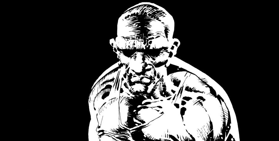 Dark Horse August 2012 Solicitations